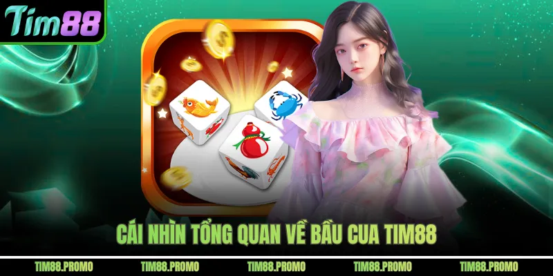 Cái nhìn tổng quan về bầu cua Tim88