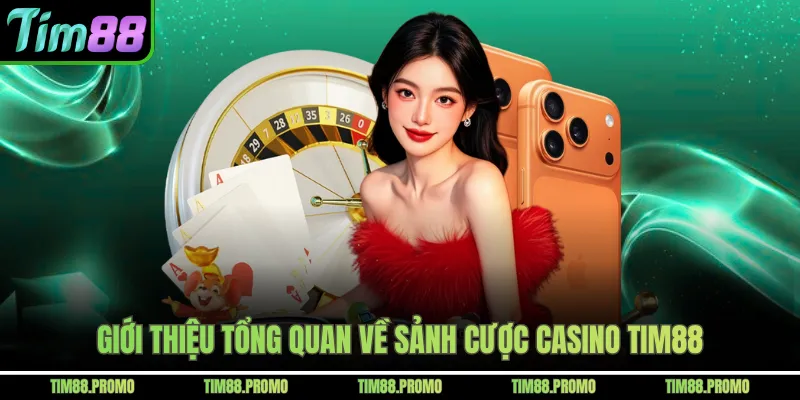 Giới thiệu tổng quan về sảnh cược casino Tim88