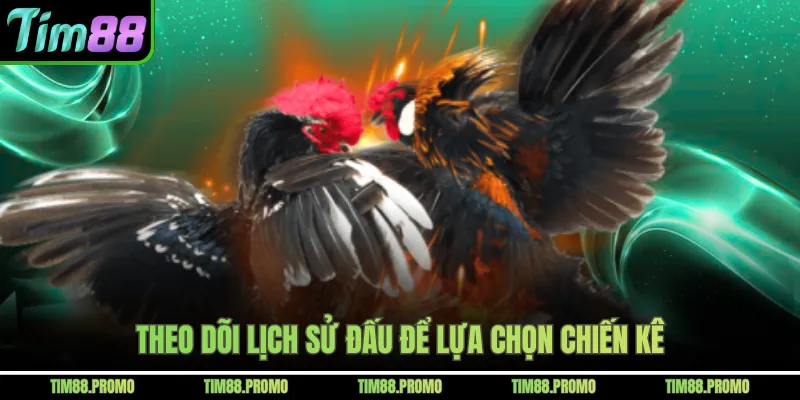 Theo dõi lịch sử đấu để lựa chọn chiến kê